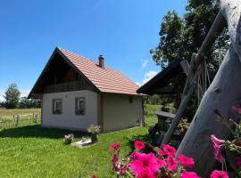 Vikendica Jovanovic, cabaña o casa de campo en Bajina Bašta