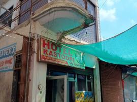 OYO Kasturi Sai Darbar, pet-friendly hotel in Jhānsi