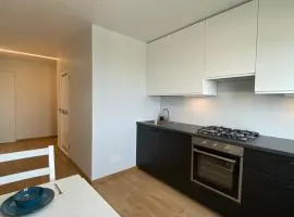 C3 apartment in Kėdainiai