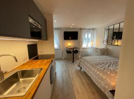 Grand Studio - Le Kléber - Strasbourg Centre, Hotel in Straßburg