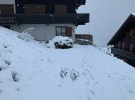 Les Œillets, Les portes du Soleil