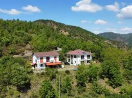 Moto Pareto B&B