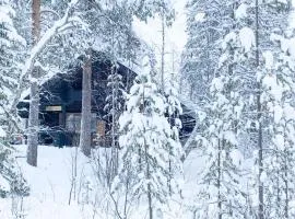 Holiday Home Tievankivi by Interhome