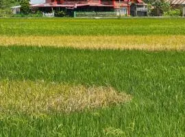 Homestay dan Cafe BungaSonsang