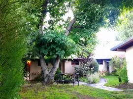 Cabañas Los Nonos