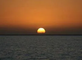 Tides proprety - Medium Tide