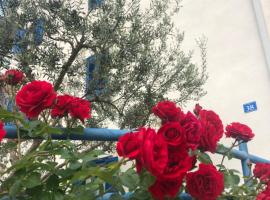 Olive Tree Apartments, hotel u gradu Umag