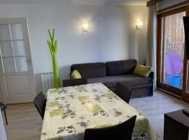 Charmant 3P 5 pers. à 300m des pistes avec balcon et parking, Chantemerle - FR-1-762-35