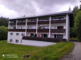 Appartementhaus Tannenhof - Wohnung 2, hotel con estacionamiento en Haidmühle