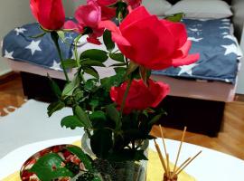 Apartman PAVLE، فندق في بلوزين