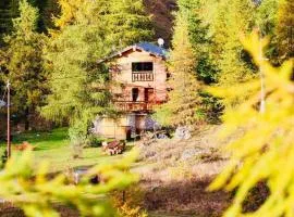 Gite T3 Le Balarino - Mercantour 1