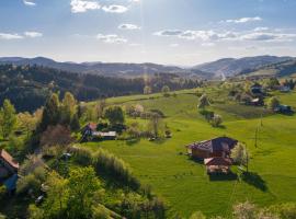 Aronija Zlatar, brvnara u Novoj Varoši
