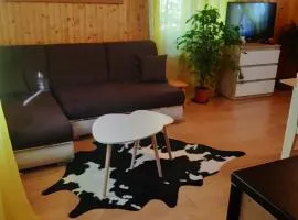Domek u Prezesa