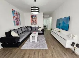 Apartman Aleksandra u strogom centru grada