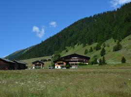 Hotel Restaurant Walliser Sonne, hotel v destinaci Reckingen - Gluringen