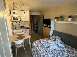 STUDIO COSY STRASBOURG CENTRE TRAM