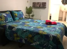 Appart proche Paris et aéroport Orly