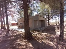 Cabaña Los Pinos