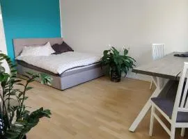 Modern studio, central location and free parking