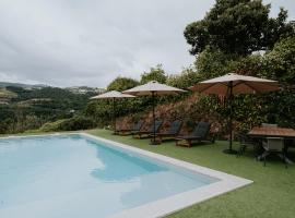 Casa de Greire, hotel i Castelo de Paiva