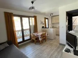 Appartement cosy 4 pers, proche télécentre, balcon - L'Alpe d'Huez - FR-1-405-25