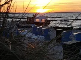 Ferienwohnungen Villa Waldblick