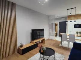 Apartament przy Parku Śląskim