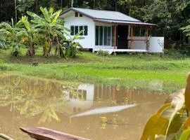 มานาตาฟาร์มสเตย์