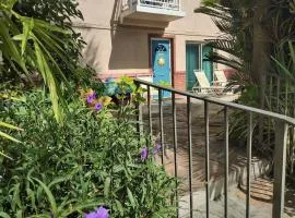 Tropical Courtyard Paradise on St Pete Beach Friendly Native #502