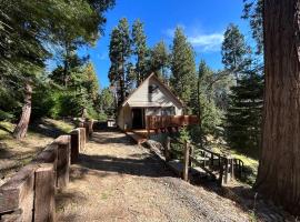Sequoia National Forest CabinD, hotel que admite mascotas en Panorama Heights