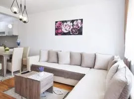 Apartman Filipović Vrnjačka Banja