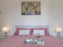 B&B IL TULIPANO