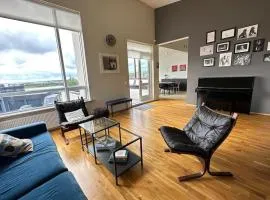 Spacious Family friendly house in the Reykjavik
