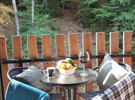 Mavrovo Centar Ski Staza, holiday rental in Mavrovo