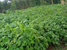 Bettys Home ., cabaña en Bungoma