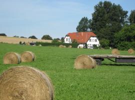 Landhaus Alt Reddevitz, hotel en Middelhagen