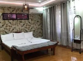 Luxury Penthouse With View&Starlink