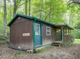 Briceville Cabin with River Access and Mountain Views!