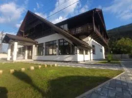Vidra Dacica