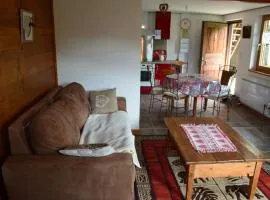 Chalet Châtel 2 Pièces, 6 Pers, 2 SDB, Proche Remontées, Balcon, Jardin, Parking - FR-1-676-27