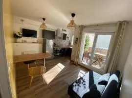 A 50 m de la plage, appartement de 35 m2 : Les pieds salés