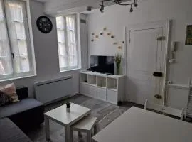 Superbe appartement - Hypercentre - rue Madeleine - 6 personnes