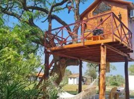 Haasienda - Nido del Loro - Casa de Arbol