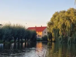 Rodinný dům u rybníka v blízkosti Olomouce