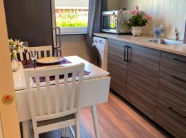 comfortable apartment in a quiet area in the city center, hotel in Skien