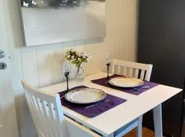 comfortable apartment in a quiet area in the city center