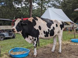 Rooterville Animal Sanctuary, maatilamajoitus kohteessa Melrose