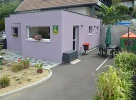 Gîte familial tout confort à Altkirch - Terrasse, jardin, parking, proche pistes cyclables et randos - FR-1-744-5