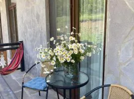 RESIDENCE DIDVELI 8A