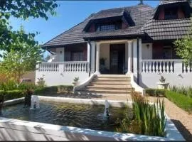 The Dauphin House